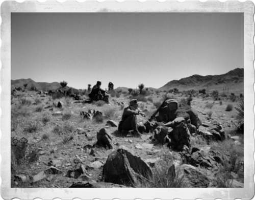 Reenactment USA - Tunisia 1943