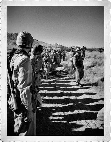 Reenactment USA - Tunisia 1943