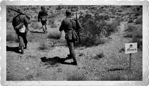 Reenactment USA - Tunisia 1943