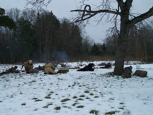 New re-enactment in Estonia. Civil War period (1918-1920)