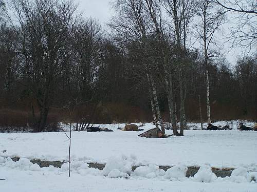 New re-enactment in Estonia. Civil War period (1918-1920)