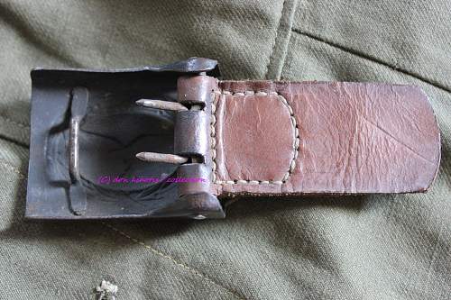 Denazified LW Buckle