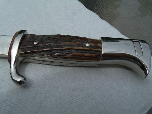 Need Advice: To trade or not to trade my DLV Dagger for this Stag Luftwaffe Etched Bayonet?