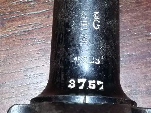 Identify this Luger ?