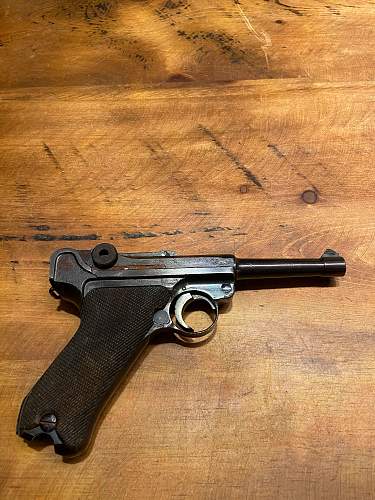 My humble Luger