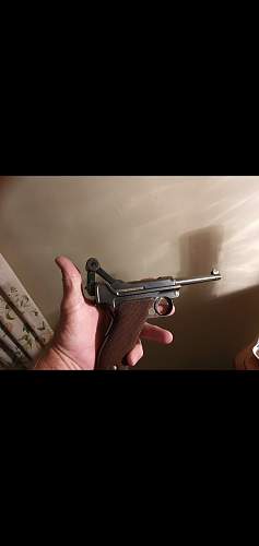 M1906 Swiss Bern Luger