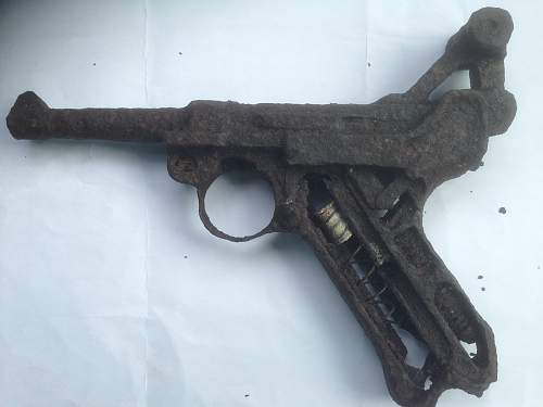 Luger ID
