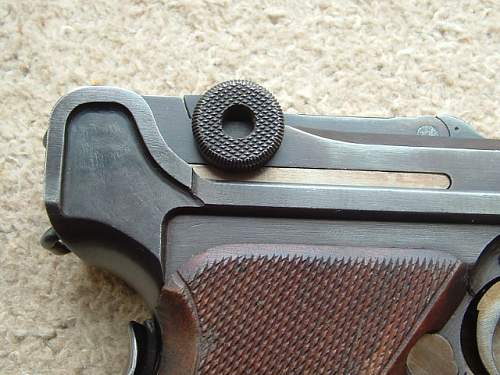 M1906 Swiss Bern Luger