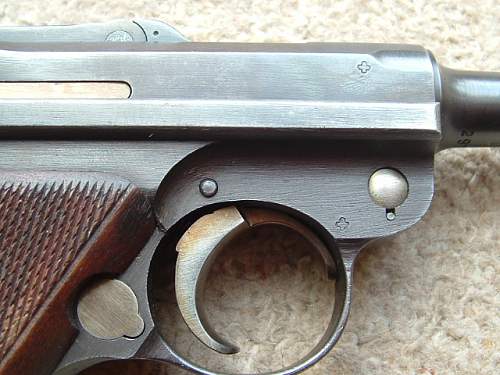 M1906 Swiss Bern Luger