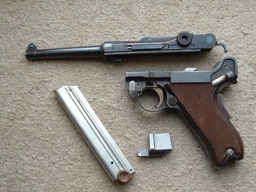 M1906 Swiss Bern Luger