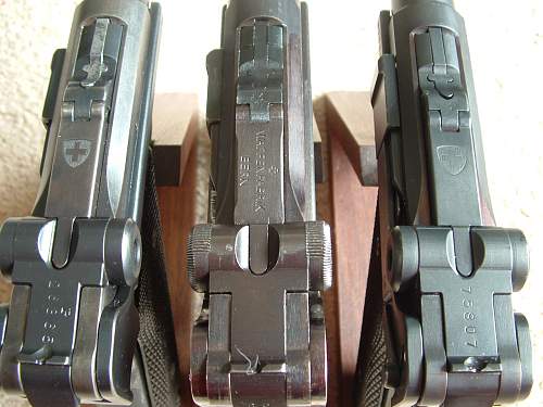 Swiss Luger Grouping