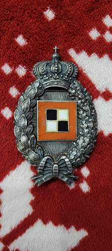 Badge for aircraft observation officer