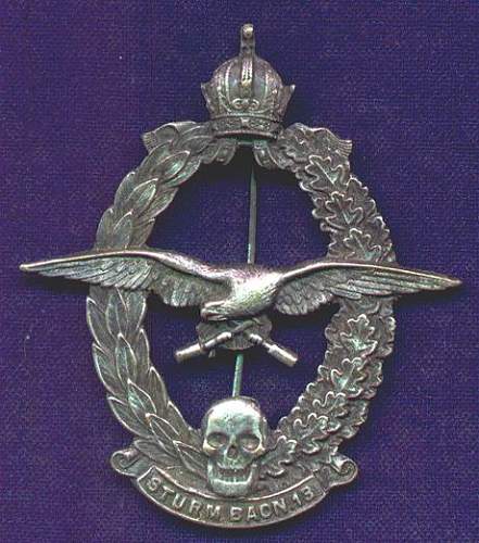 Austrian Sturmtruppe Badge...