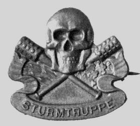 Austrian Sturmtruppe Badge...