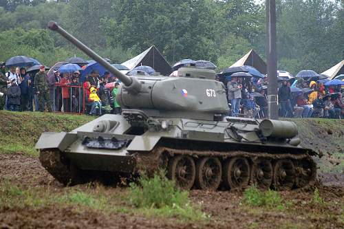 Annual Tank Show