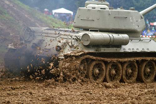 Annual Tank Show