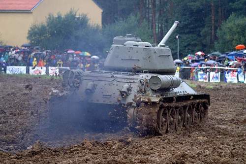 Annual Tank Show