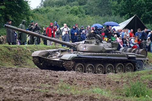 Annual Tank Show