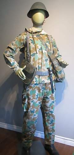 Flächentarn (patterned camouflage) uniform &amp; equipment.