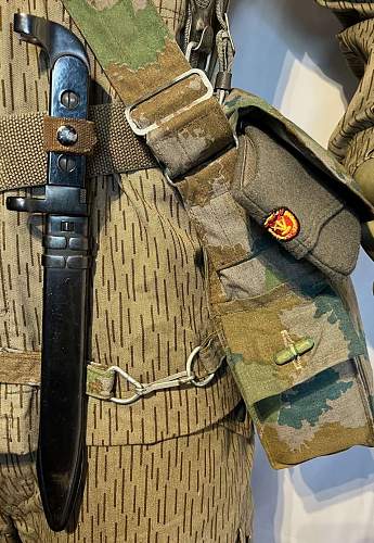 &quot;Strichtarn&quot; uniforms &amp; &quot;Flächentarn&quot; webbing, the first years.