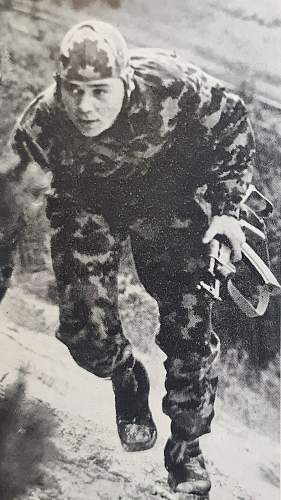 Flächentarn (patterned camouflage) uniform &amp; equipment.