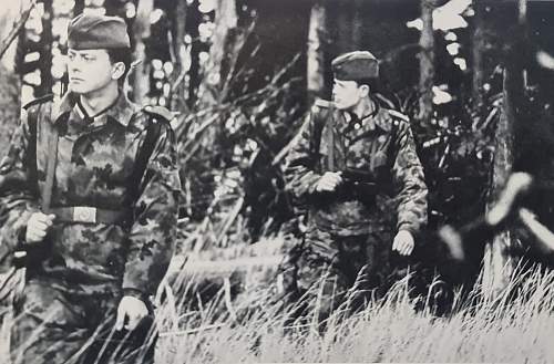 Flächentarn (patterned camouflage) uniform &amp; equipment.