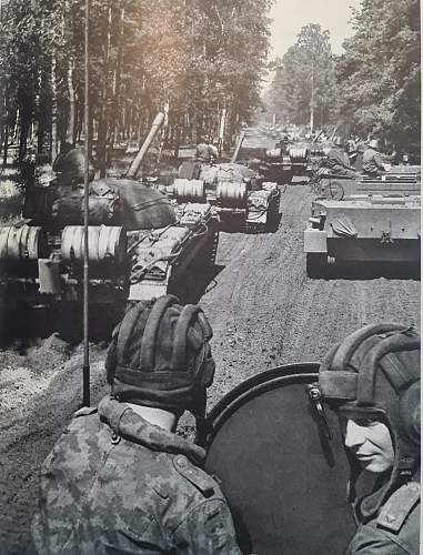 Flächentarn (patterned camouflage) uniform &amp; equipment.