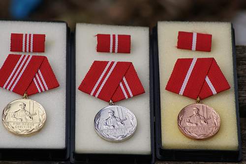 Kampfgruppe long service medals