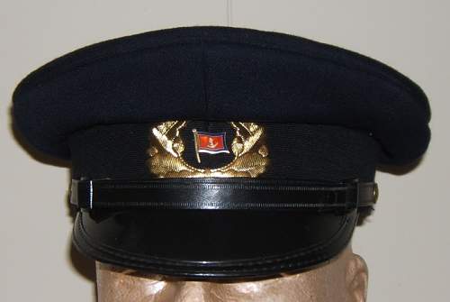 DDR Civil Visors