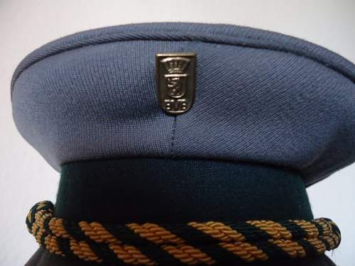 DDR Civil Visors