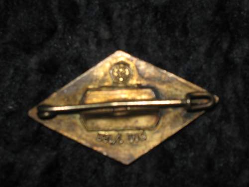 Rare hitler youth badge?