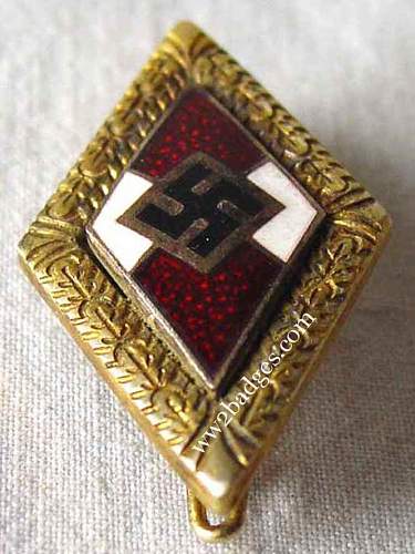 Rare hitler youth badge?