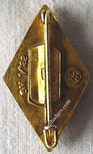 Rare hitler youth badge?