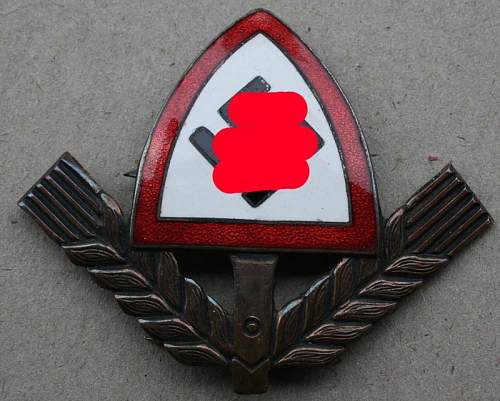 Rad Cap Badge