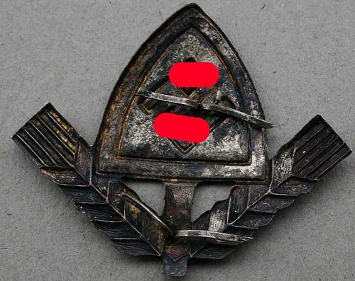 Rad Cap Badge