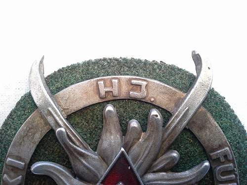 Gebirgsjager hj ski fuhrer edelweiss badge schield pin