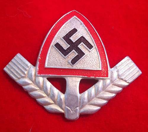 Any members collecting Reichsarbidienst Cap Insignia