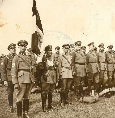 Stahlhelm - Bund der Frontsoldaten / system of shoulder-belts and special insignia