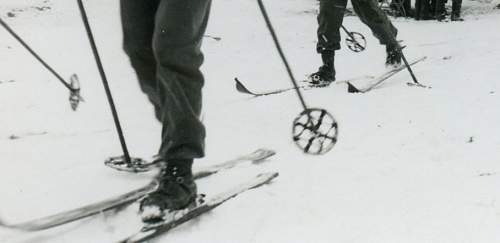 RAD-Gebirgsjäger Ski