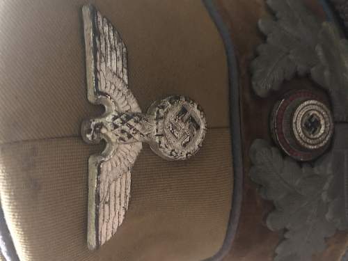 Is this an Authentic? (NSDAP Ortsgruppe Peaked Cap)