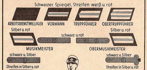 FAD (Freiwilliger Arbeits Dienst) Truppführer collar tabs?