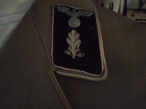 NSDAP Kreisleter uniform.