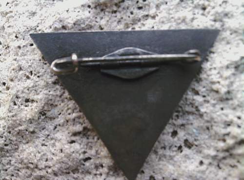 German Japanese pin