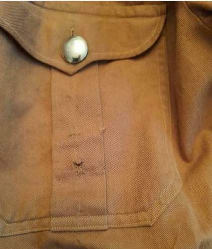 NSDAP brown shirt opinions