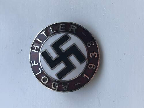 Hitler 1933 Pin