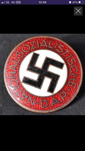 Hitler 1933 Pin