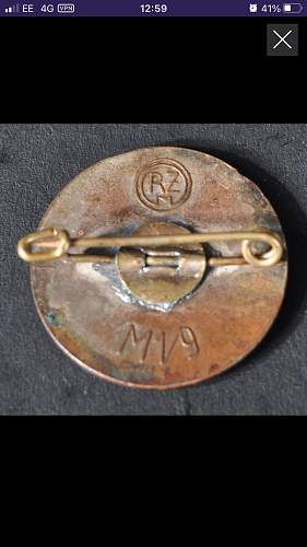 Hitler 1933 Pin