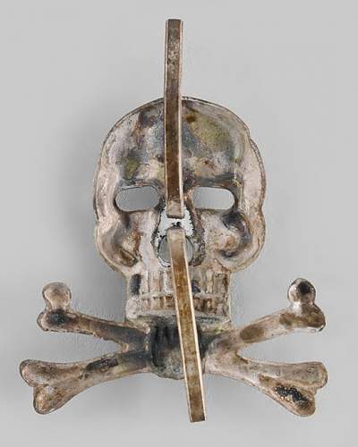 Brunswick skull