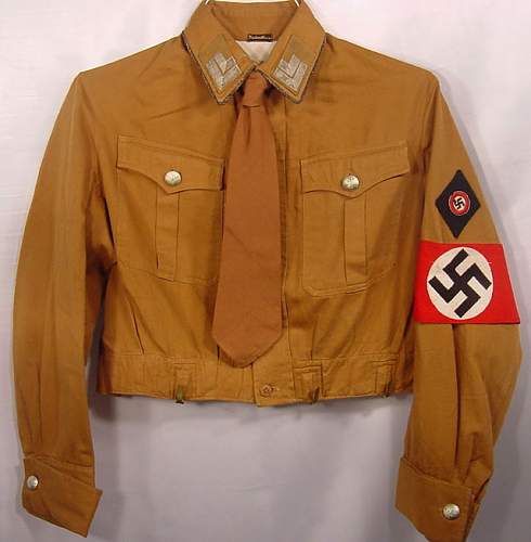 NSDAP brown shirt - Political restoration - looking for tips.