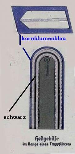 Reichsarbeitsdienst Obertruppfuhrer Sanitätsdienst schulterklappen und kragenspiegel
